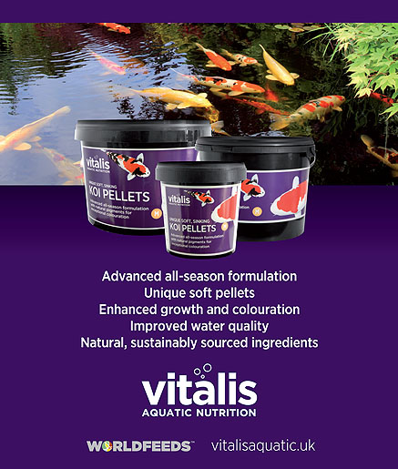 Vitalis Koi Pellets - Main Sponsor